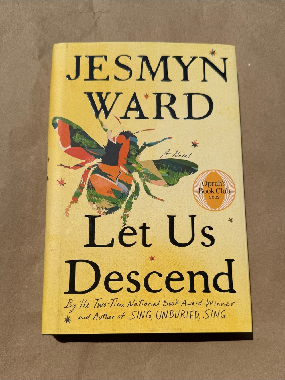 Jesmyn Ward - Let Us Descend